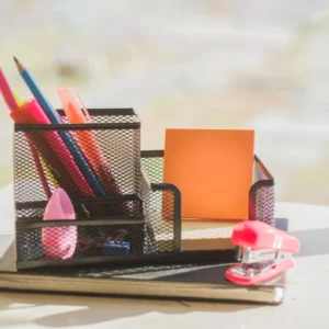Dual Pen Holder