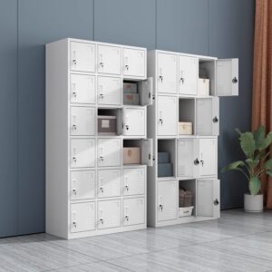 Office locker
